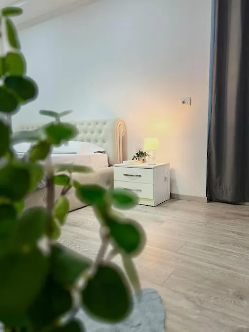 Rizz Apartment Tirana 0*,  Albánie