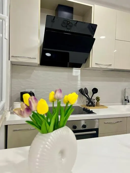 Rizz Apartment Tirana